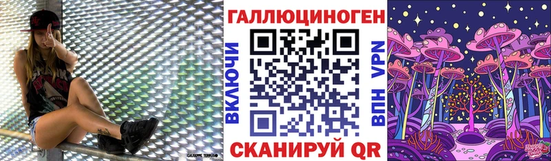 Купить закладки  Вольск  Галлюциногенные грибы прущие грибы 